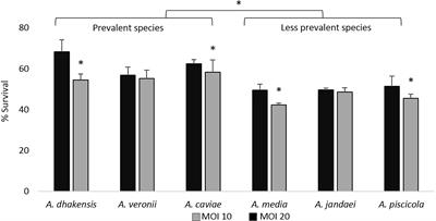 Immune Response of the Monocytic Cell Line THP-1 Against Six Aeromonas spp.